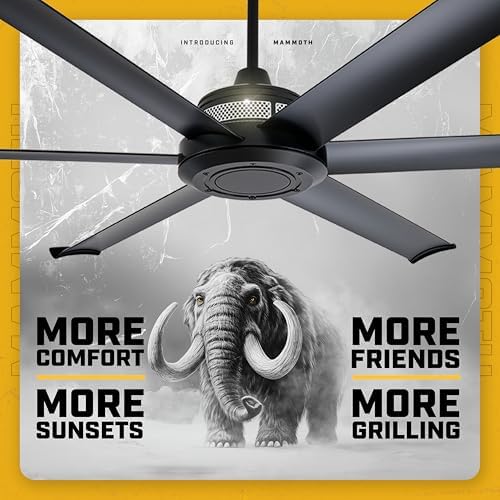 Big Ass Fans Mammoth 72 review airflow testing