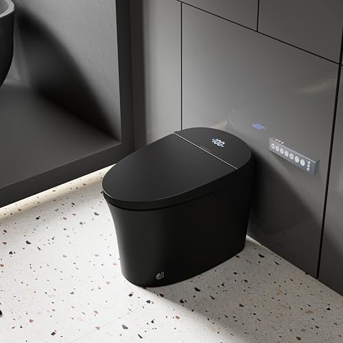Image 1 of CANEST Black Smart Toilet review