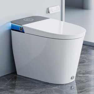 Image 1 of HOROW Artistic Bidet review
