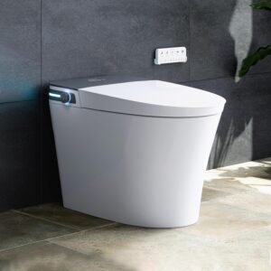 Image 1 of HOROW HR-T37D smart toilet review