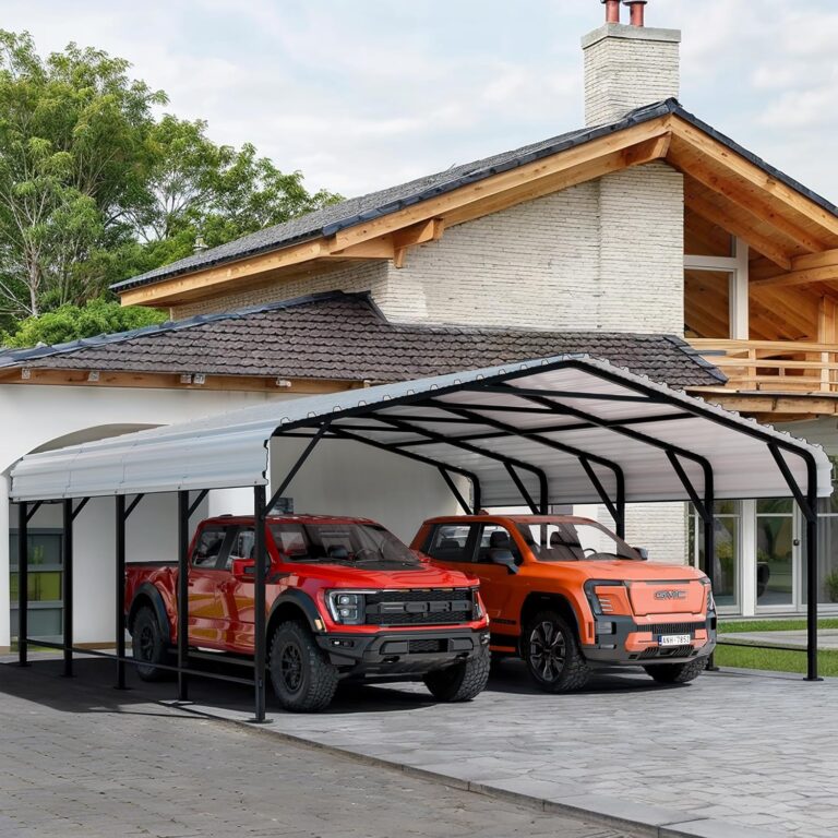 Reviews - Shintenchi Metal Carport Review: Honest Pros & Cons Image 1 of Shintenchi metal carport review