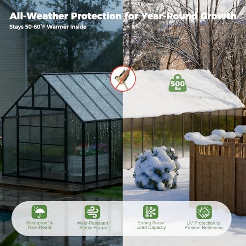 Reviews - WACASA 10x10 Greenhouse Review: Honest Pros & Cons Analysis WACASA 10x10 greenhouse review performance testing and real-world results