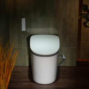 Image 1 of WOODBRIDGE Smart Toilet review