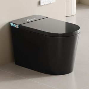 Image 1 of black smart toilet honest review