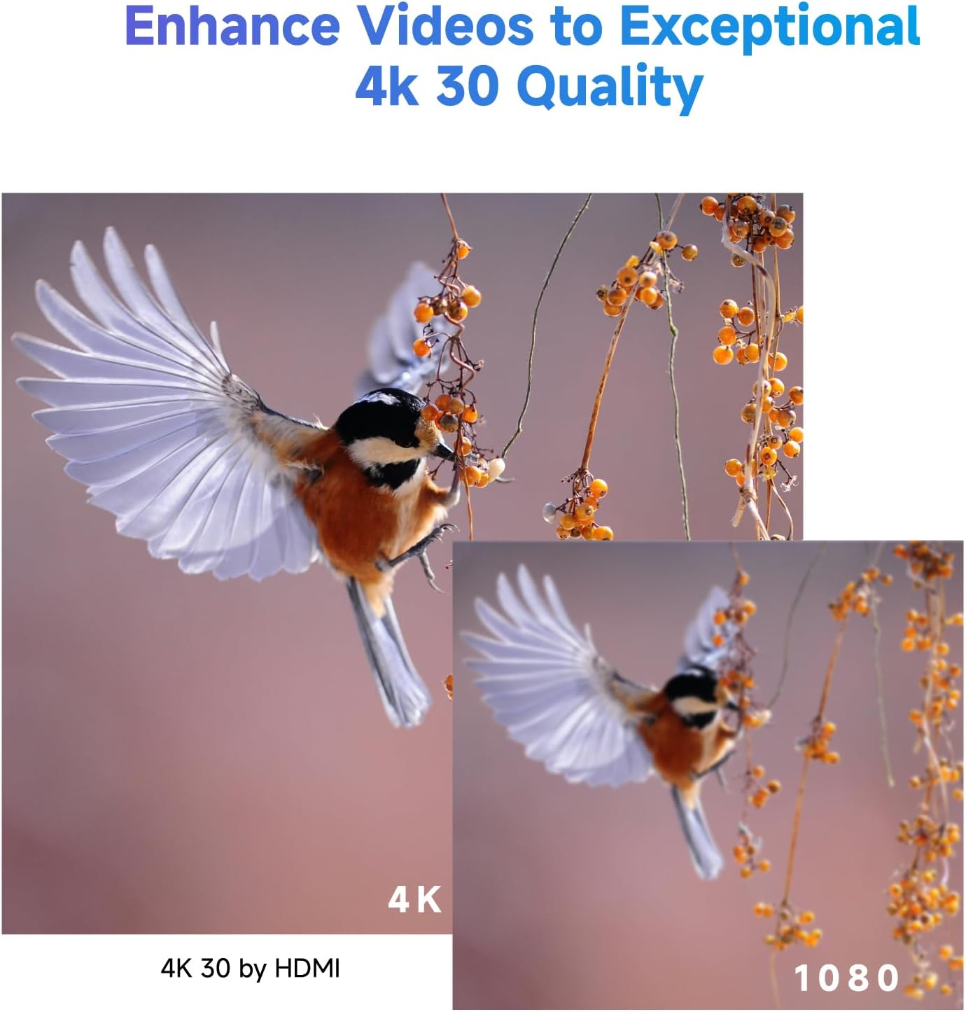 Step-by-step guide for Accsoon CineView SE 4K worth buying,Accsoon CineView SE 4K pros cons,best wireless video transmitter,CineView SE 4K vs alternatives,should I buy Accsoon CineView SE,wireless video transmission system - complete tutorial