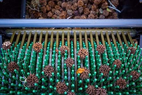 Step-by-step guide for Bag-A-Nut Sweet Gum Ball Picker-Upper,should I buy Bag-A-Nut,Bag-A-Nut vs alternatives,Bag-A-Nut pros cons,Bag-A-Nut worth buying,best lawn collector for sweet gum balls - complete tutorial