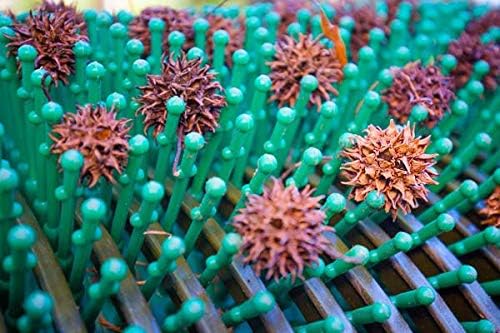 Bag-A-Nut Sweet Gum Ball Picker-Upper,should I buy Bag-A-Nut,Bag-A-Nut vs alternatives,Bag-A-Nut pros cons,Bag-A-Nut worth buying,best lawn collector for sweet gum balls performance testing and real-world results