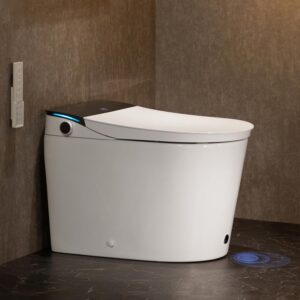 Image 1 of CANEST smart toilet worth it