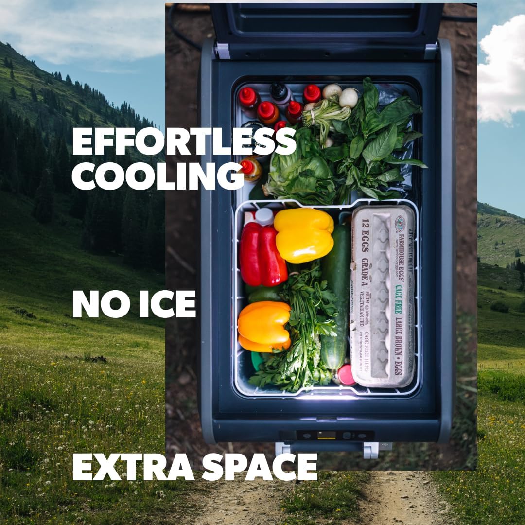 Reviews - Dometic CFX Electric Cooler Worth It? Our Honest Experience Dometic CFX electric cooler worth it,should I buy a Dometic CFX,Dometic CFX vs alternatives,Dometic CFX pros cons,best portable electric cooler,Dometic CFX5 honest opinion performance testing and real-world results