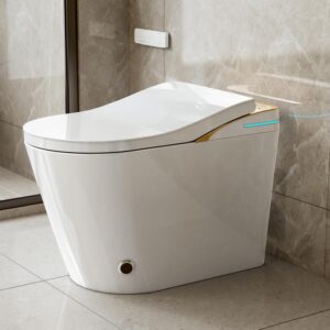 Image 1 of Loniko K1 smart toilet worth it