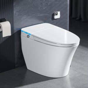 Image 1 of Onirap V12D smart toilet worth it