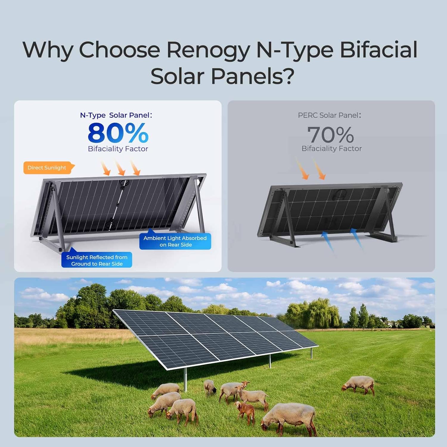 Step-by-step guide for Renogy 590W solar panels worth it,Renogy 590W solar panels pros cons,should I buy Renogy 590W solar panels,Renogy 590W vs other solar panels,best 590 watt solar panels,Renogy bifacial solar panel honest - complete tutorial