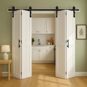 Image 1 of S&Z TOPHAND barn door worth it