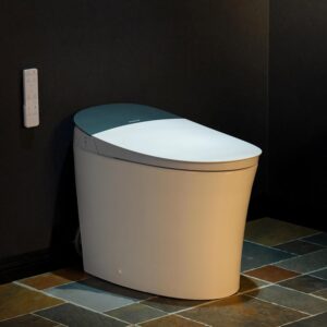 Image 1 of WOODBRIDGE EBT230 smart toilet worth it