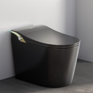 Image 1 of WinZo smart toilet worth it