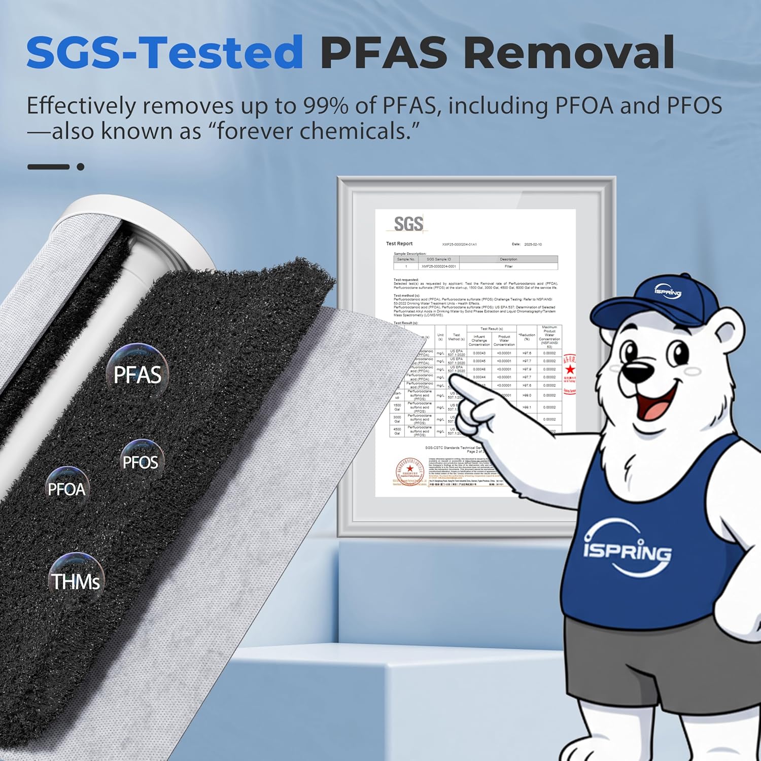 iSpring WGB32B-PFKDS worth buying,should I buy iSpring WGB32B,iSpring whole house filter pros cons,best whole house PFAS filter,iSpring WGB32B vs alternatives,iSpring water filter honest opinion unboxing and complete package contents