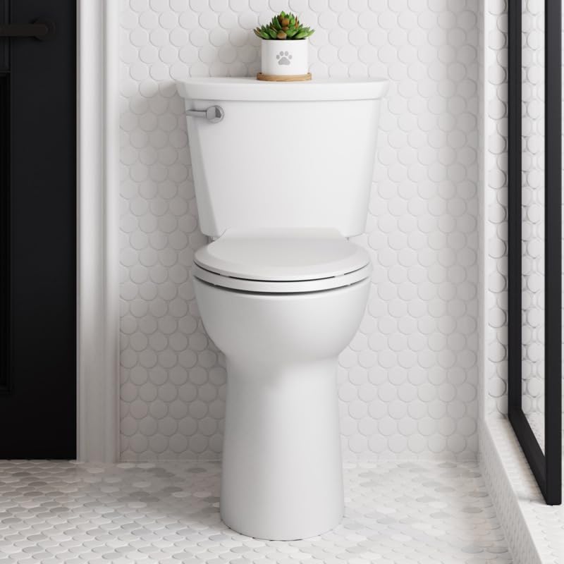 American Standard Cadet PRO toilet worth it,should I buy American Standard Cadet PRO,Cadet PRO toilet pros cons,best extra tall toilet,Cadet PRO vs other toilets,American Standard Cadet PRO honest unboxing and complete package contents