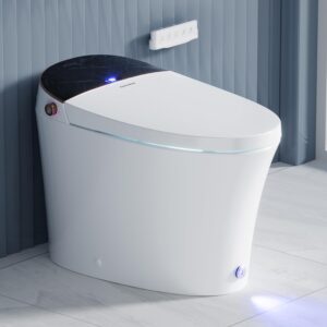 Image 1 of Casta Diva smart toilet worth it