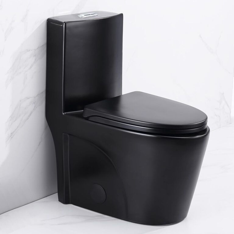 Image 1 of Clovis one piece toilet worth it