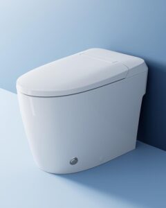 Image 1 of HOROW HR-T30 toilet worth it
