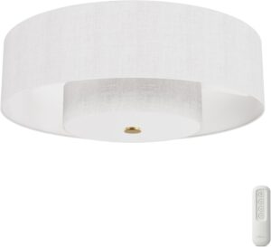 Image 1 of Hunter Brookside Fandelier worth buying