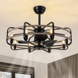 Image 1 of NOXARTE caged ceiling fan worth it