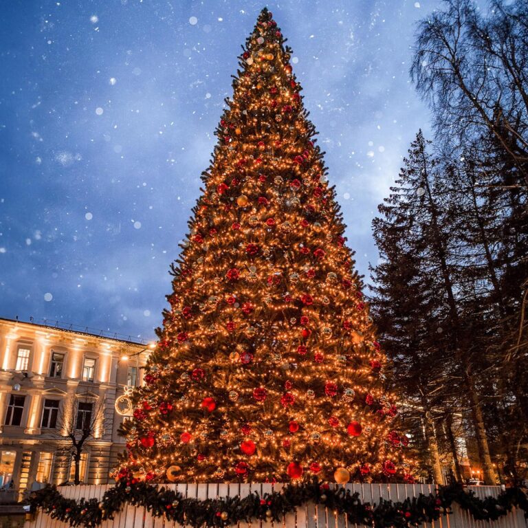 Reviews - Northlight Olympia Pine Christmas Tree Worth It? Honest Pros & Cons Image 1 of Northlight Olympia Pine Christmas Tree worth it