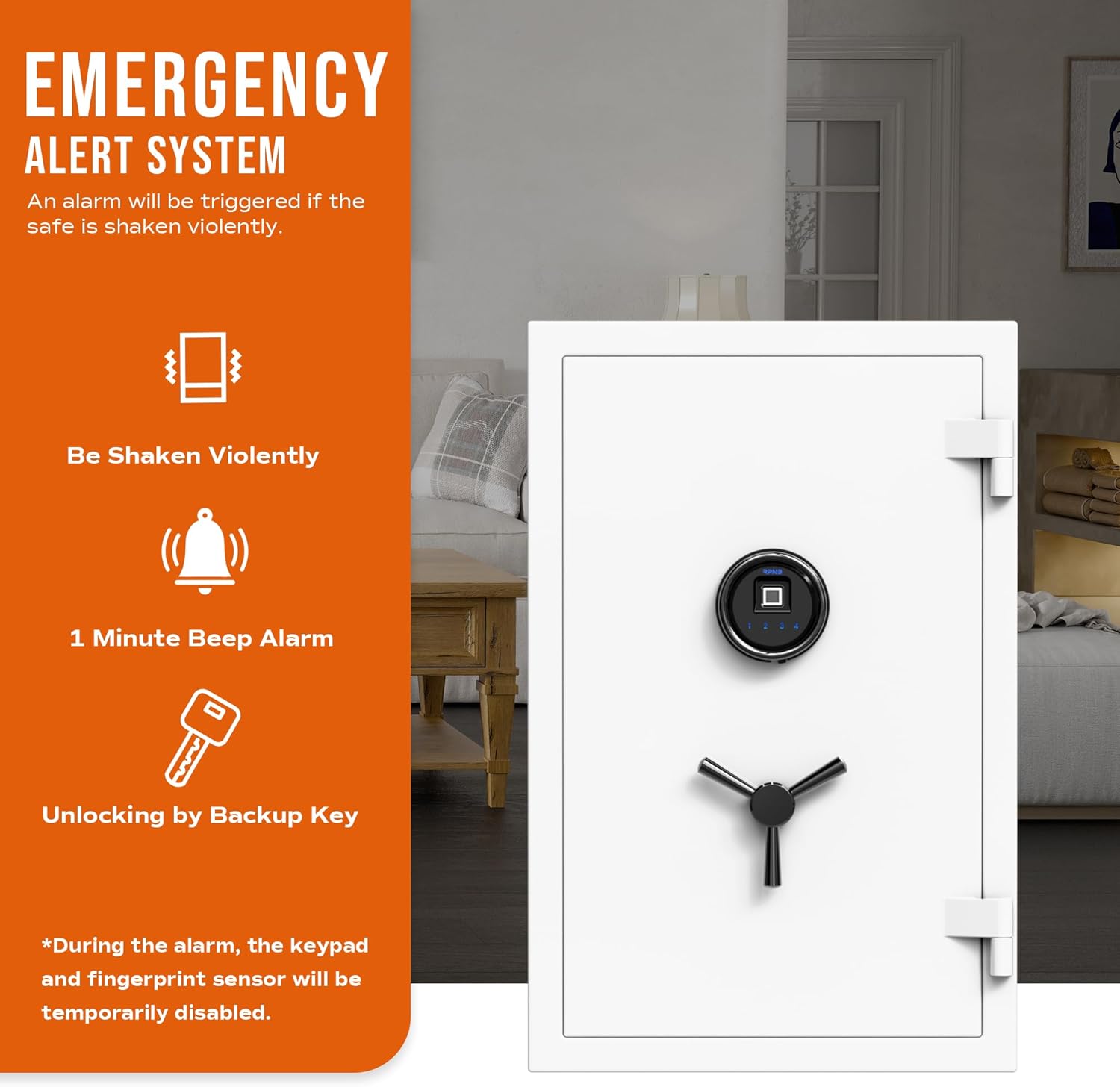 RPNB biometric safe worth it,RPNB safe pros and cons,RPNB biometric safe honest opinion,should I buy RPNB safe,RPNB biometric safe vs alternatives,best biometric safe for home performance testing and real-world results