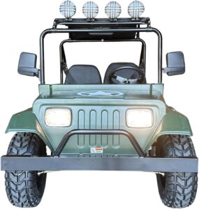 Image 1 of Venom 200cc Willys Edition worth it