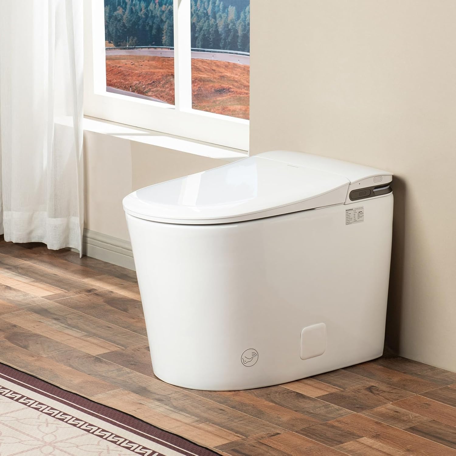 Woodbridge GT100 worth buying,Woodbridge GT100 pros cons,should I buy Woodbridge GT100,Woodbridge GT100 vs alternatives,Woodbridge GT100 honest opinion,best smart toilet without bidet - detailed features and technical specifications