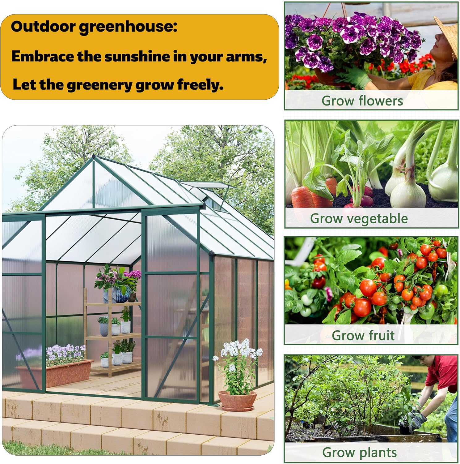 Step-by-step guide for best 8x10 polycarbonate greenhouse,8x10 greenhouse worth buying,polycarbonate greenhouse pros cons,Donfafecuer greenhouse honest,best walk-in greenhouse for backyard,should I buy an 8x10 greenhouse - complete tutorial