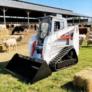Image 1 of best skid steer loader