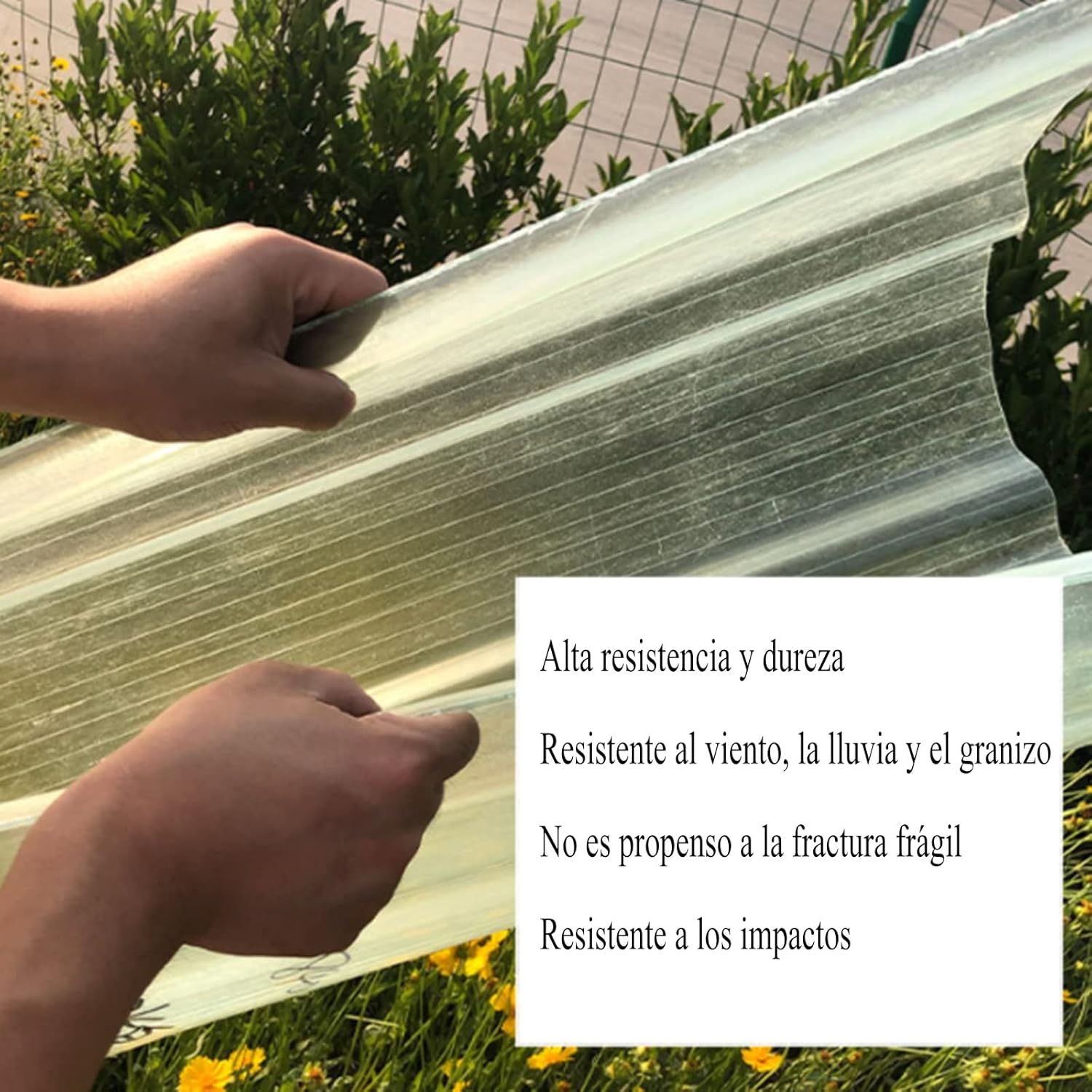 buy polycarbonate roofing sheets,best polycarbonate roofing sheets,polycarbonate sheets worth buying,polycarbonate roofing pros cons,where to buy polycarbonate roofing,polycarbonate vs fiberglass roofing performance testing and real-world results