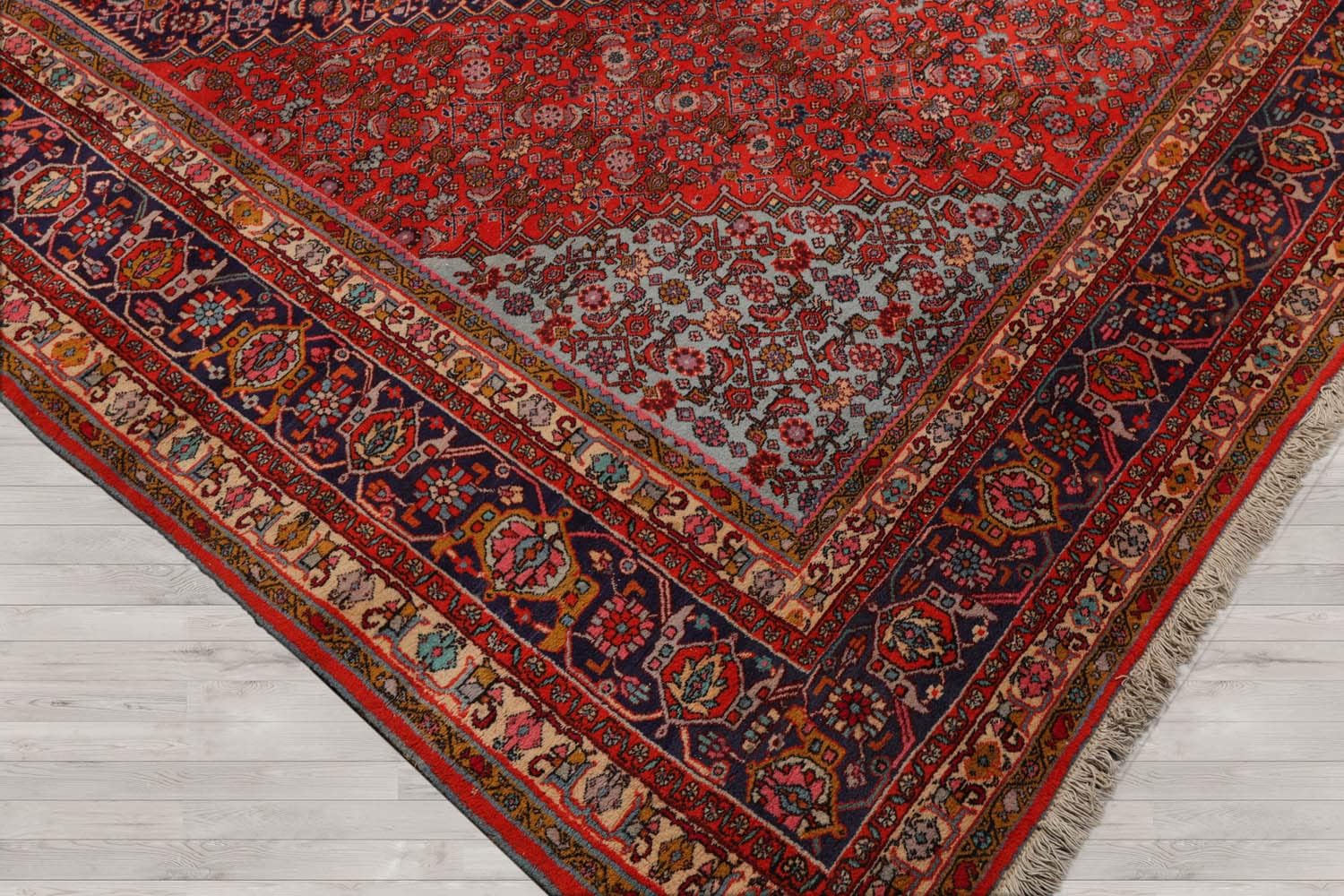 Step-by-step guide for LoomBloom oriental rug review and rating review - complete tutorial