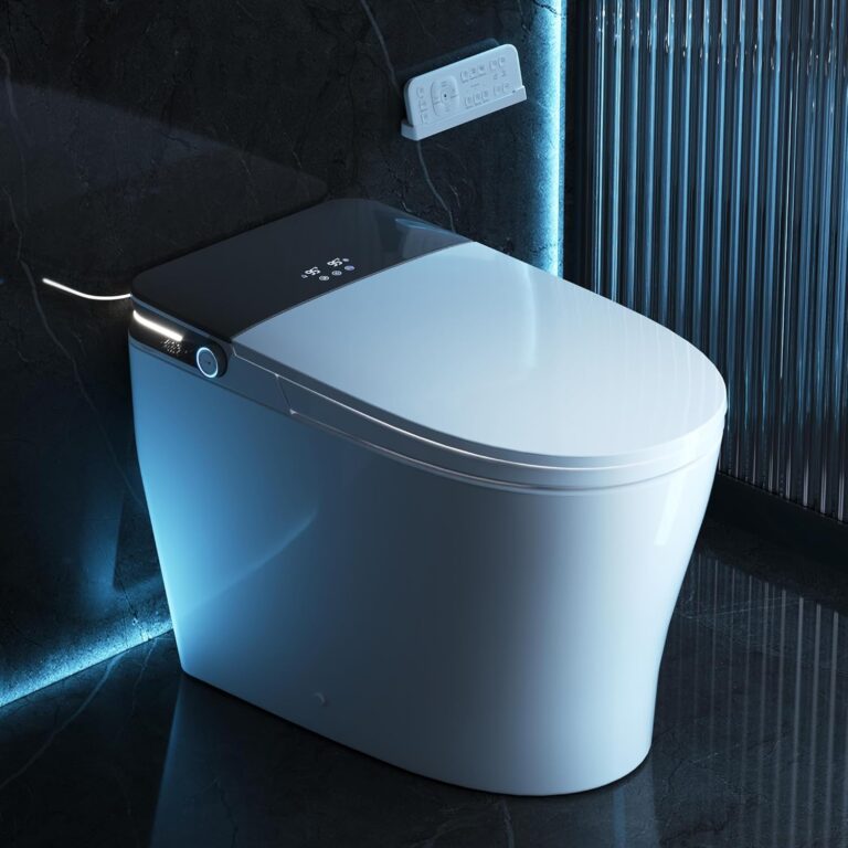 Image 1 of DeerValley smart toilet review